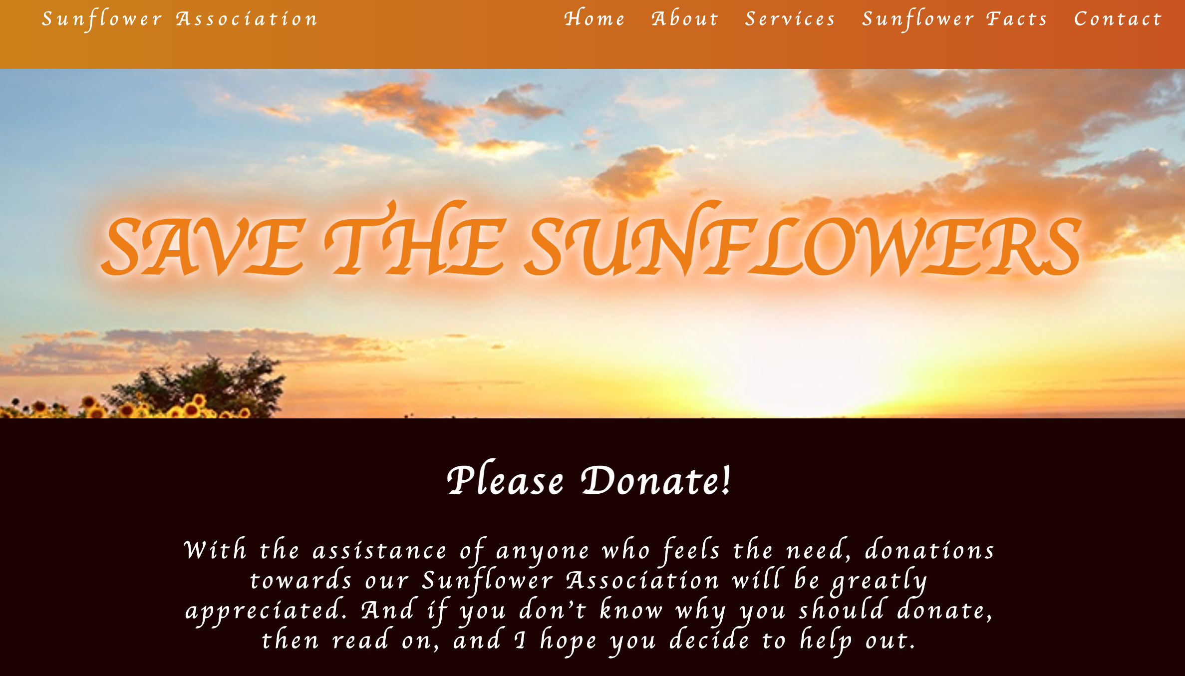 Sunflower Charity